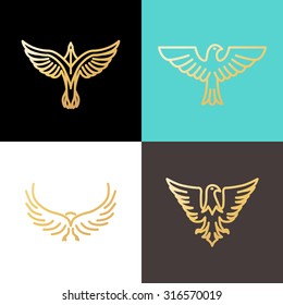 Vector linear logo design templates made with golden foil - eagles and birds - abstract power and freedom symbols