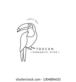Vector linear logo design toucan bird on white background. Toucan emblems or badges