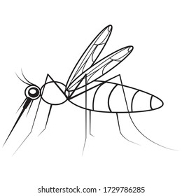 Mosquito lineal vectorial sobre fondo blanco. Imagen de un insecto estilizado bebiendo sangre. Ilustración de un traficante de malaria.
