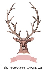 Vector linear pastel colored sketch of beautiful light brown deer with big horns and beautiful eyes and pink ribbon banner with empty place for your text