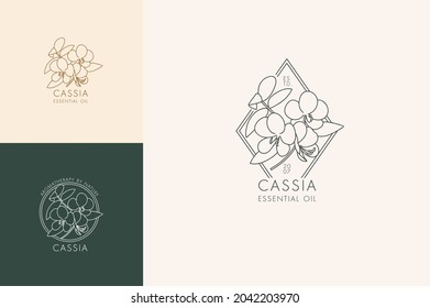 Conjunto lineal vectorial de iconos y símbolos botánicos - casia. Diseñar logotipos para la cassia de aceite esencial. Producto cosmético natural.