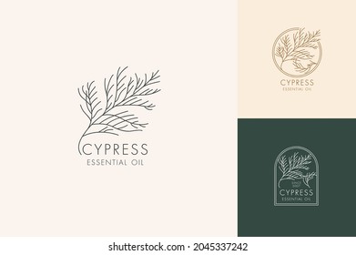 Vector linear set of botanical icons and symbols - cypress. Design logos for essential oil cypress. Natural cosmetic product svg