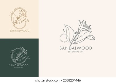 Vector linear set of botanical icons and symbols - sandalwood. Design logos for essential oil sandalwood. Natural cosmetic product.