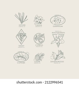 Vector linear set of botanical icons and emblems. Design logos with typography for essential oils. Natural cosmetic products.