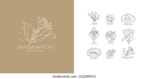 Conjunto lineal vectorial de iconos y emblemas botánicos. Diseñar logotipos con tipografía para aceites esenciales. Productos cosméticos naturales