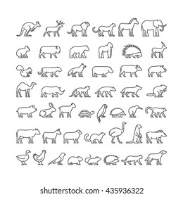 Vector linear set of silhouettes of domestic, farm, forest and wild animals. Line icon hedgehog, squirrel, cat, dog, cow, ferret, lion, panther and others. Open path.