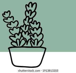Vector linear silhouette image of a cactus in a pot on a transparent background