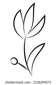 Vector linear simple botanical poster. Abstract art lines, wall paintings, flowers, leaves, plants. Modern design, doodle shapes, cover template, printing of T-shirts, postcards, banners and more.