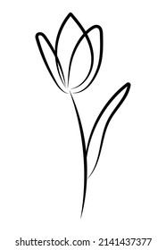 Vector linear simple botanical poster. Abstract art lines, wall paintings, flowers, leaves, plants. Modern design, doodle shapes, cover template, printing of T-shirts, postcards, banners and more.