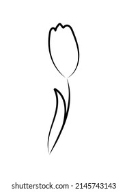 Vector linear simple botanical poster. Abstract art lines, wall paintings, flowers, leaves, plants. Modern design, doodle shapes, cover template, printing of T-shirts, postcards, banners and more.