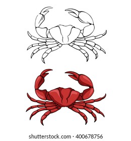 vector linear sketch of a crab isolated on a white background
