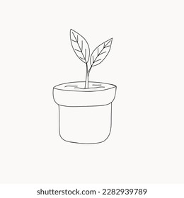 Vector linear sketch house plant illustration. houseplants, indoor and office plants in pot. Hand drawn tropical house plants. Scandinavian style illustration, modern and elegant home decor.