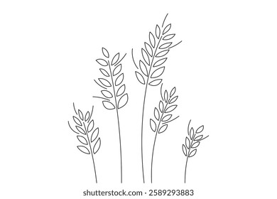 Vector linear small meadow with ears. Wheat abstract lawn for coloring. Grass with large ears.