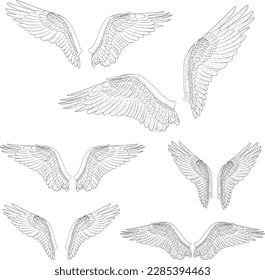 Vector lineart of wings with feathers. Wings with feathers. Line art. Vector illustration of osprey bird wings in different variations. Bird illustrations in vector.