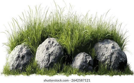 champs herbeux bordés d'Images vectorielles, composition rocheuse, arrière-plans transparents découpés, paysage naturel, scène extérieure, éléments isolés, herbe verte, création décorative,