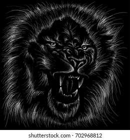 The vector lion