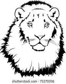 vector lion
