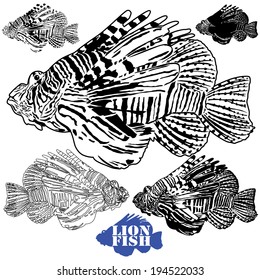 Vector Lion Fish Collection