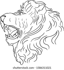 vector -Lion head  isolated on background