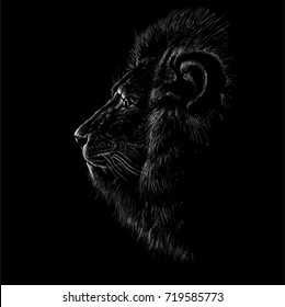 The vector lion print.