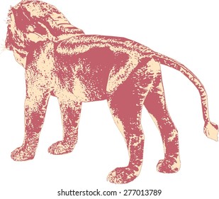 Vector lion silhouette