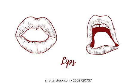 Vector lips line art illustration, graphic line art. Set of lips. Open and closed mouth. Elegant line illustration. Great for any designs, textile, art, cosmetics, package