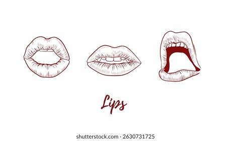 Ilustração de arte de linha de lábios vetoriais, arte de linha gráfica. Conjunto de lábios. Boca aberta e fechada. Ilustração de linha elegante. Ótimo para qualquer design, têxtil, arte, cosméticos, pacote
