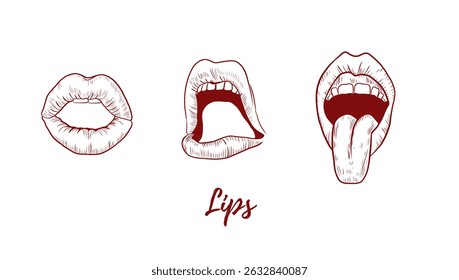 Vector lips line art illustration, graphic line art. Set of lips. Open and closed mouth. Elegant line illustration. Great for any designs, textile, art, cosmetics, package
