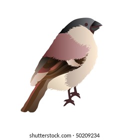 Vector little bird