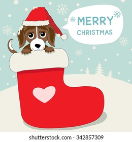 Vector of a little dog.He put on santa's hat and saying merry christmas in the stocking red.
