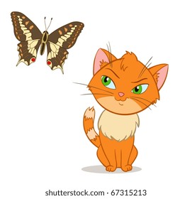 Vector little kitten with beauty butterfly