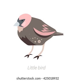 Vector little pink bird 