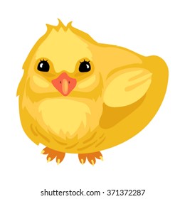 Vector little pretty chicken