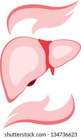 Vector liver and hands icons. Red and white. Simply change.