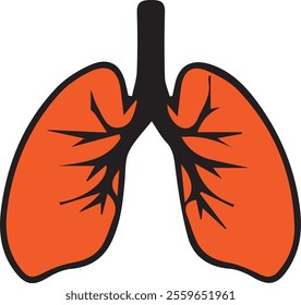 vector liver, human organ drawing