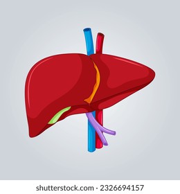 Vector liver illustration. Ready template for World Hepatitis Day and liver health themed designs. Liver disease, cancer and cirrhosis disease.