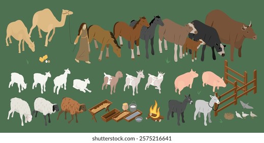 Vector livestock and Biblical animal sacrifices such as cows, bull or ox, sheep, doves, pigeon, lambs, and goats with props in isometric perspective - easy to edit and rearrange