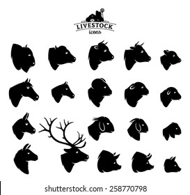 Vector Livestock Icons Isolated on White