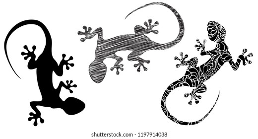 Salamandre Images Stock Photos Vectors Shutterstock