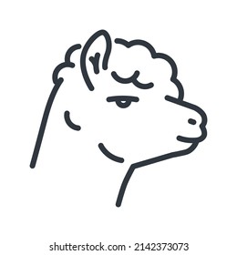 Vector llama line icon isolated on transparent background. 