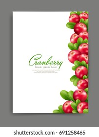 Vector lliustration with realistic cranberries isolated . Element for design, business, advertising, promotion of products, natural juices, cosmetics, food. Template for flyer, brochure,packaging
