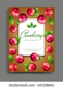 Vector lliustration with realistic cranberry isolated with frame and place for text Element for design, business, advertising, promotion of products, natural juices, cosmetics, food.  Template