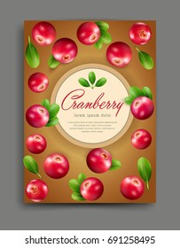 Vector lliustration with realistic cranberry isolated with frame and place for text Element for design, business, advertising, promotion of products, natural juices, cosmetics, food.  