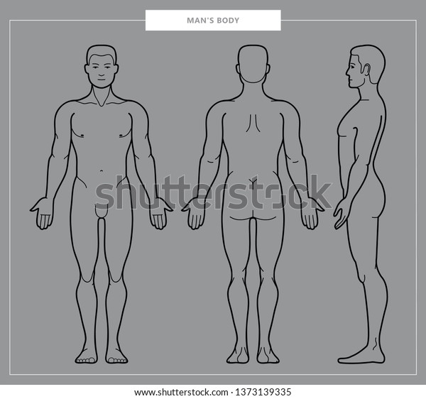 Vector Llustration Mens Body Male Anatomy Stock Vector Royalty Free 1373139335