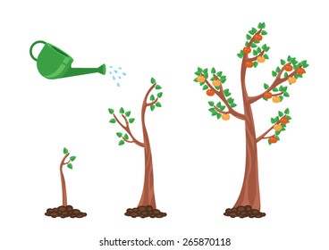 Vector llustration of pear tree growing