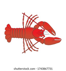 vector lobster clip art logo illustration isolated on white background in EPS10