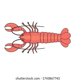 vector lobster clip art logo illustration isolated on white background in EPS10