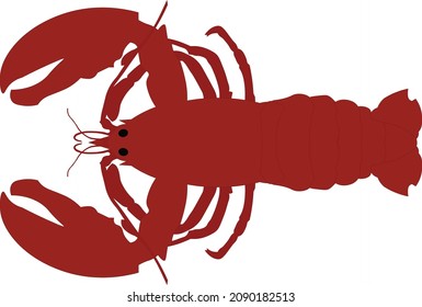 vector of lobster for graphic designer use