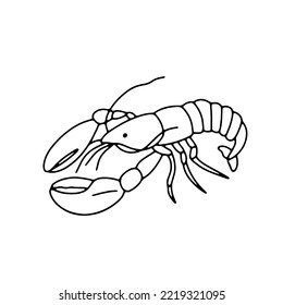 Vector lobster isolated on white background. Hand drawn outline doodle illustration ocean or underwater animal omar