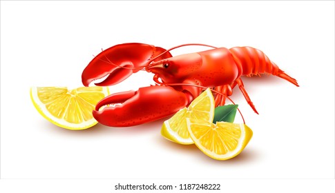 Vector Lobster with lemons and green leaf on white backround  Vector illustration.Vector Crayfish.